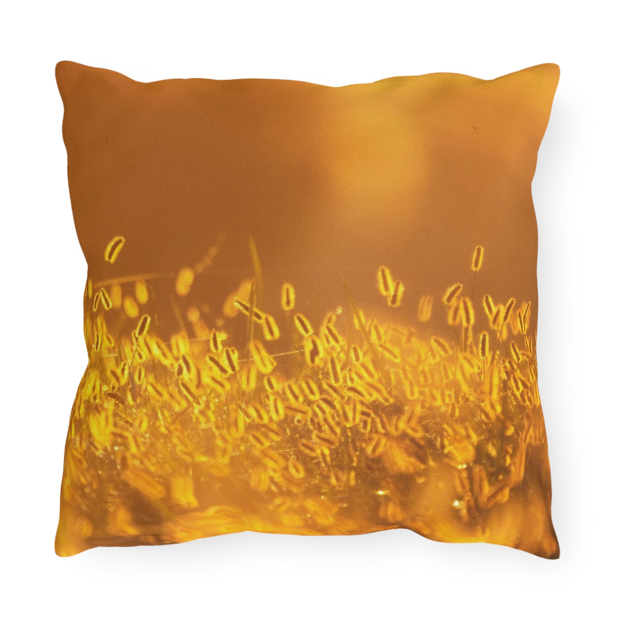 Sunrise Field Outdoor Pillow
