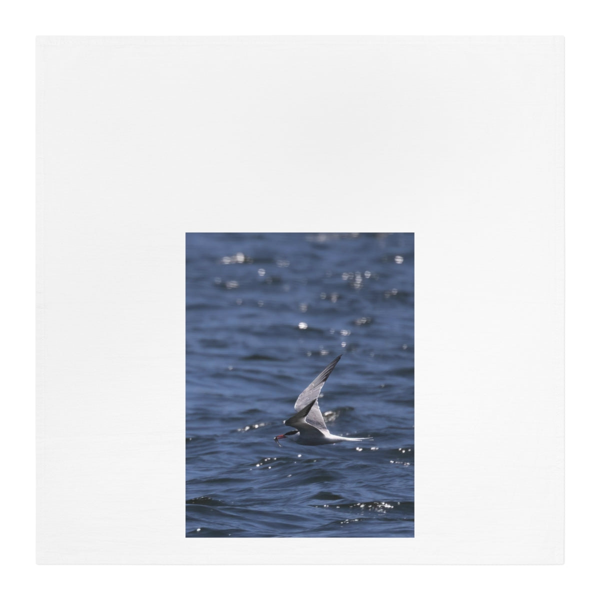 Tern with Dinner-in-Beak Kitchen/Tea Towel