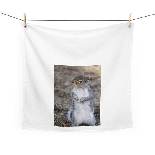 Squirrel! Kitchen/Tea Towel