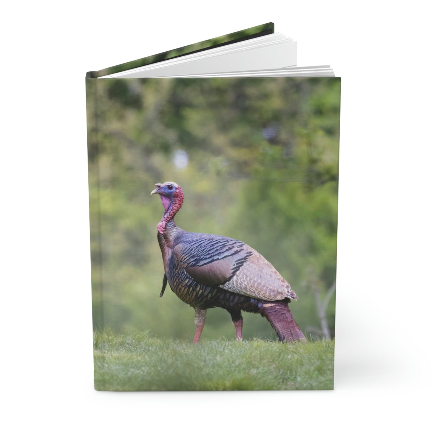 Wild Turkey Thanksgiving Journal