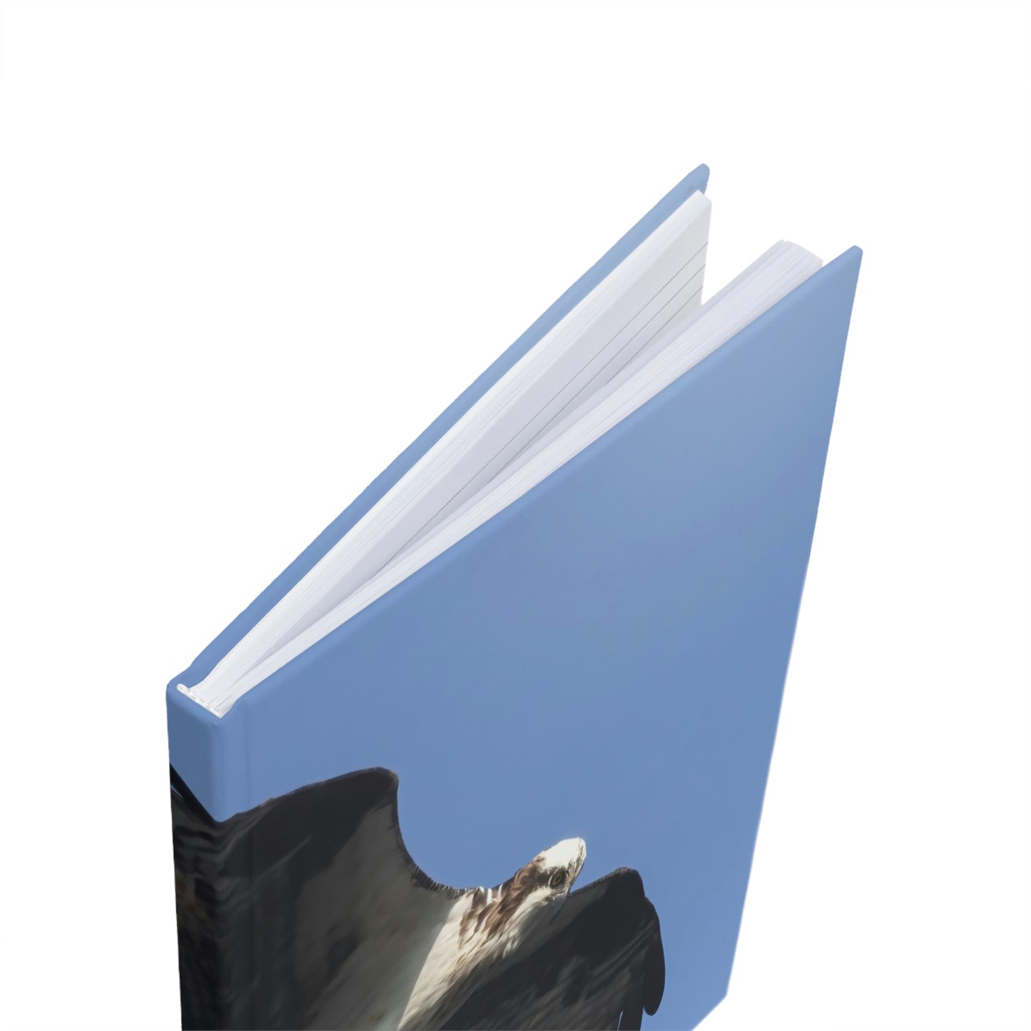 Osprey Hardcover Journal (A5)