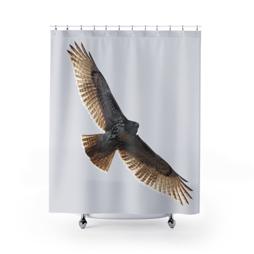 Sun-kissed Hawk Shower Curtain