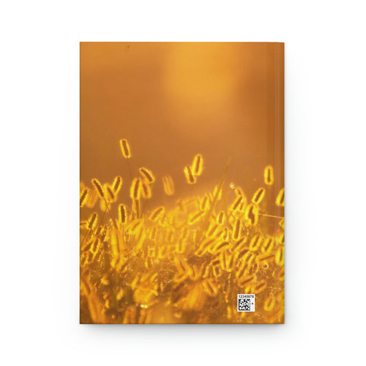 Sunlit Field Hardcover Journal Matte