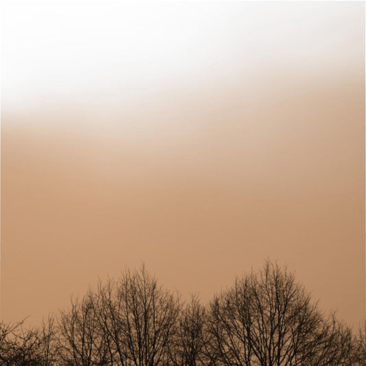 Treetops Duvet Duvet Cover-Warm