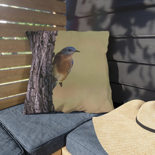 Bluebird of Happiness Outdoor Pillow