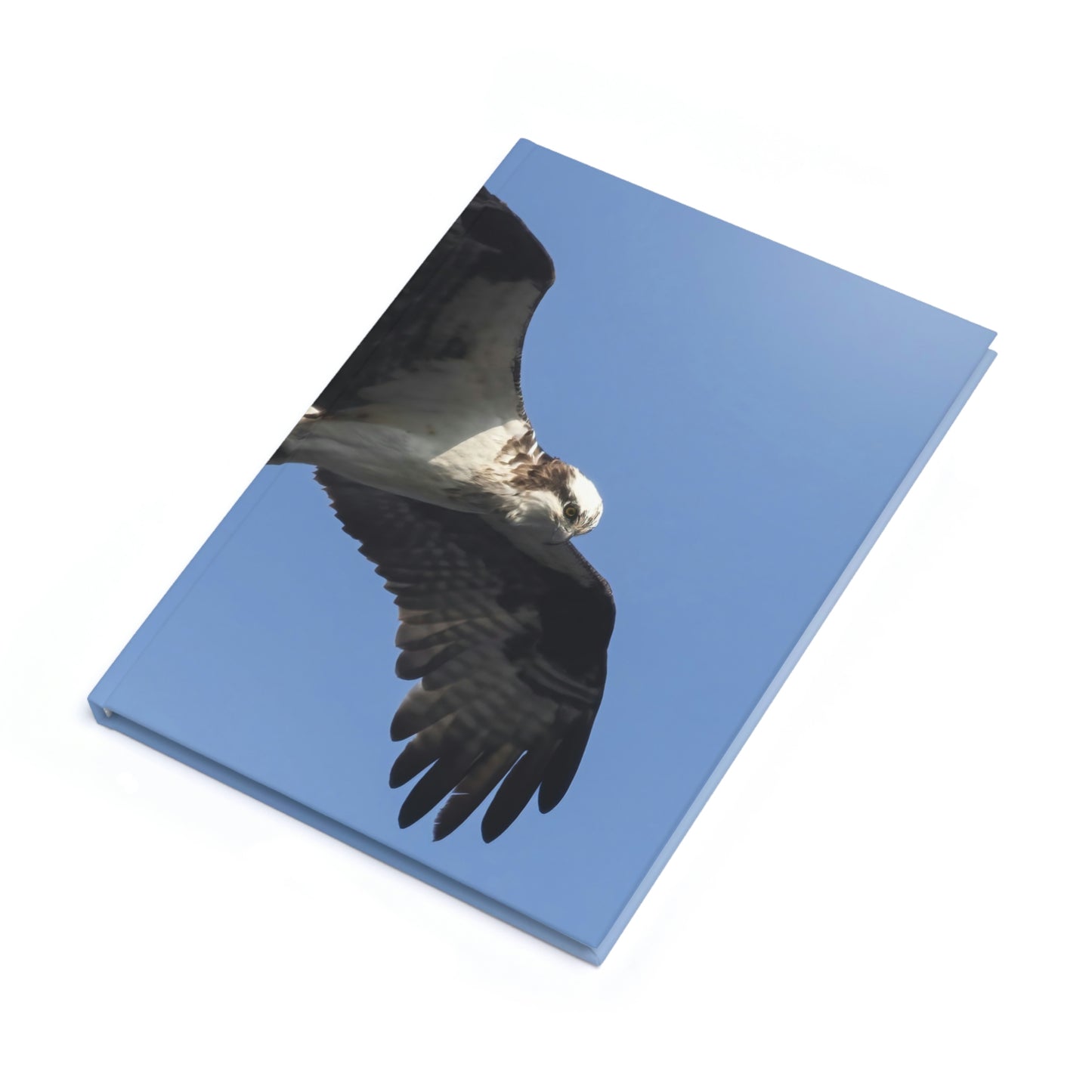 Osprey Hardcover Journal (A5)