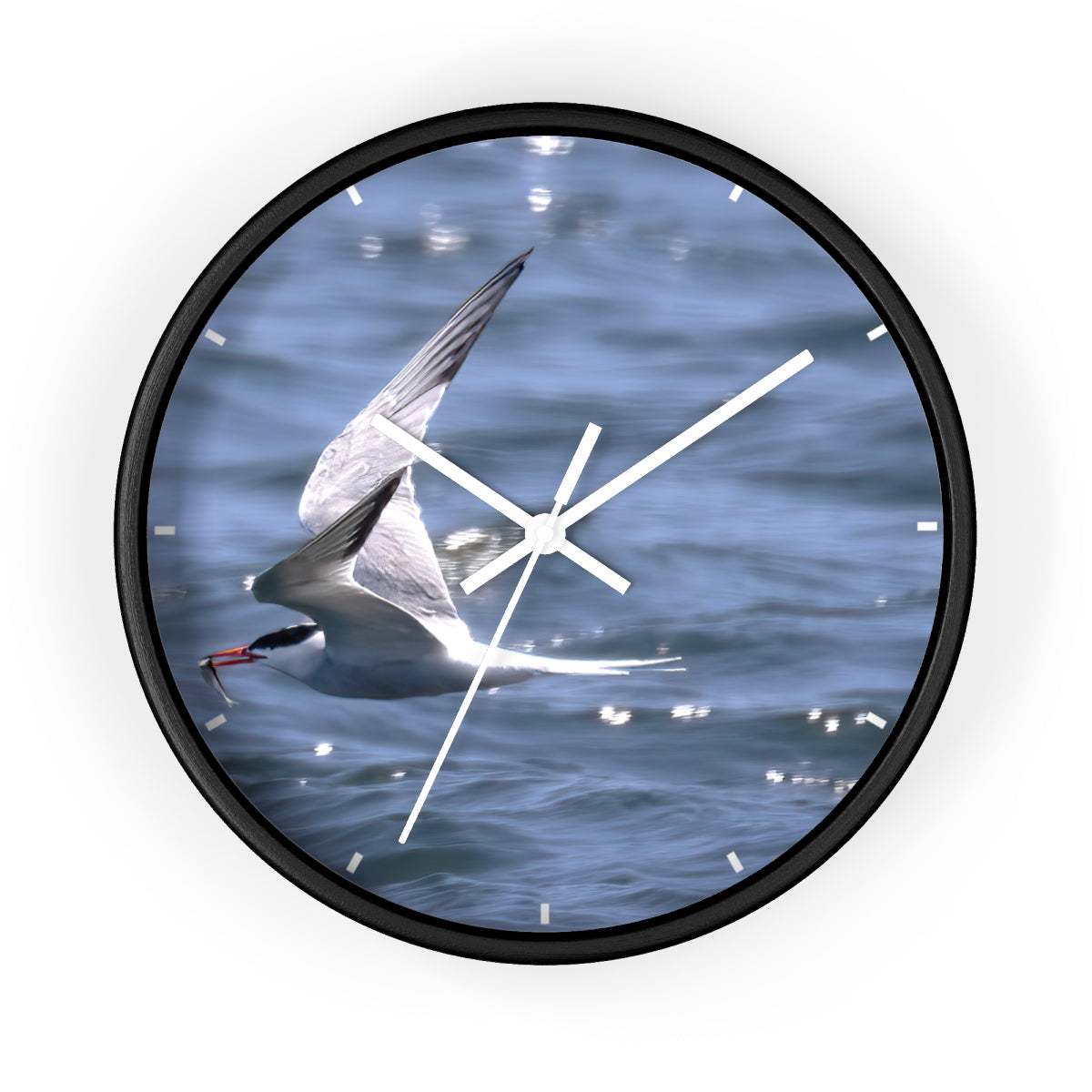 Tern with Lunch-in-Beak Wall clock