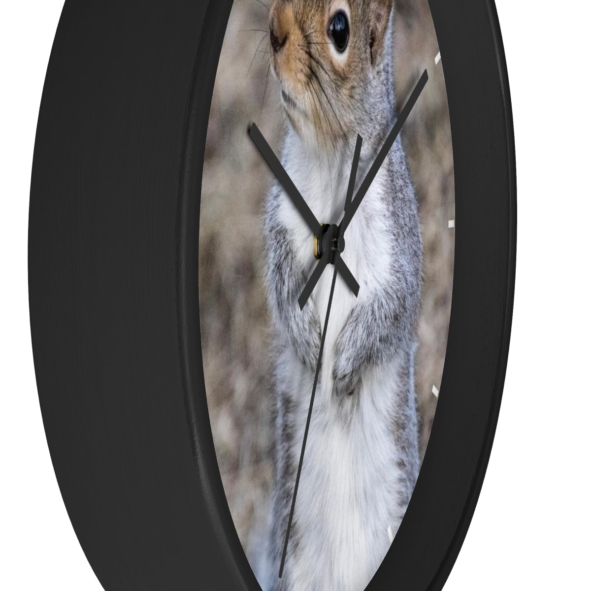 Squirrel Wall clock