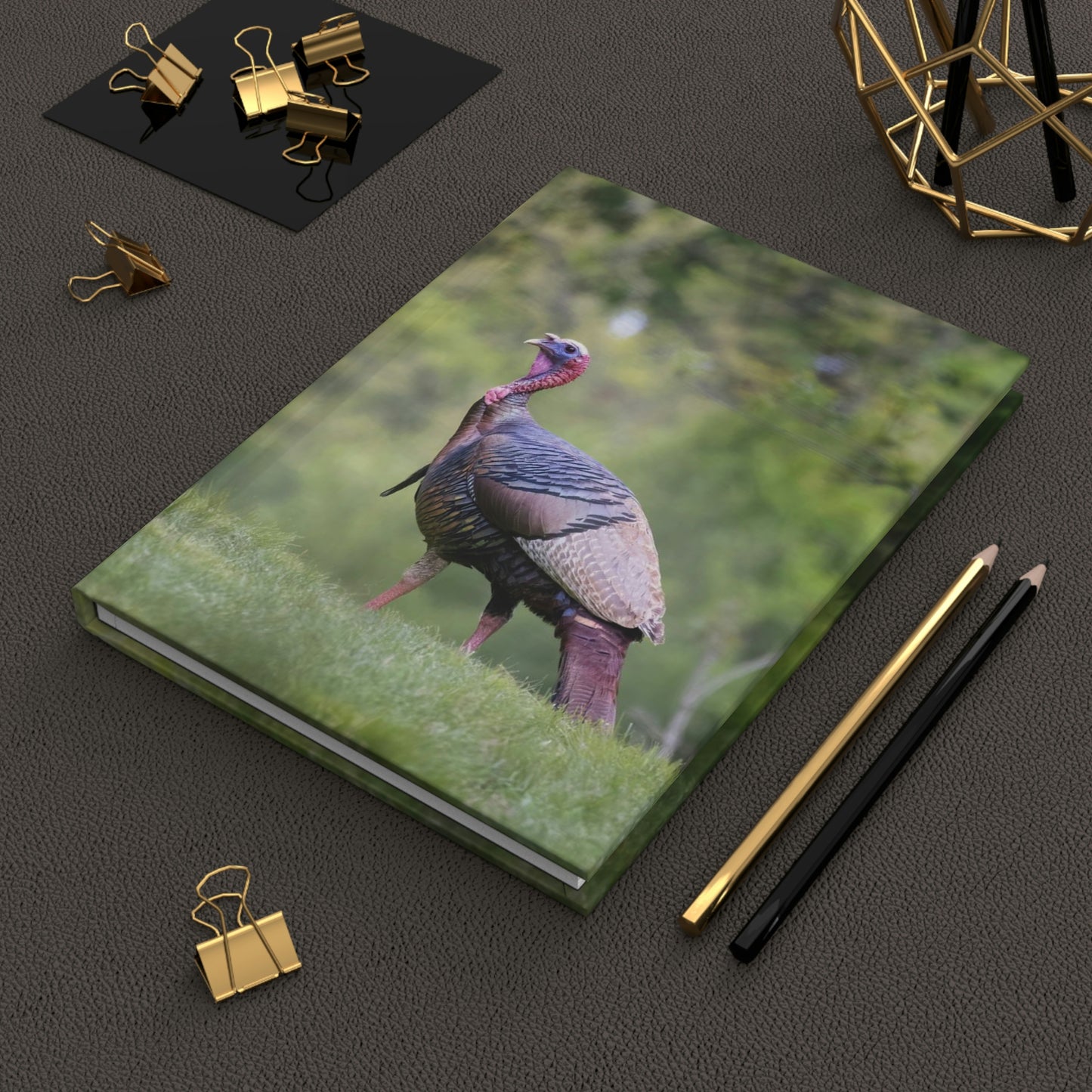 Wild Turkey Thanksgiving Journal