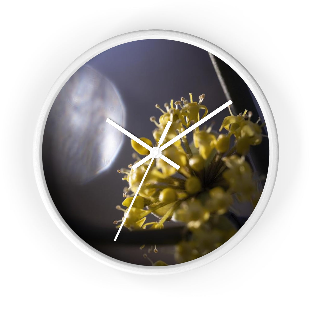 Yellow Buds and the Morning Sun.Wall clock