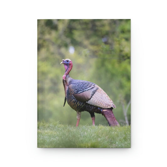 Wild Turkey Thanksgiving Journal