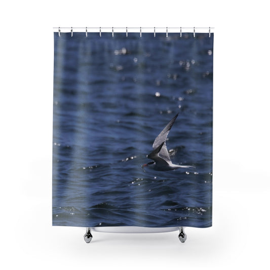Tern with lunch in beak Shower Curtain