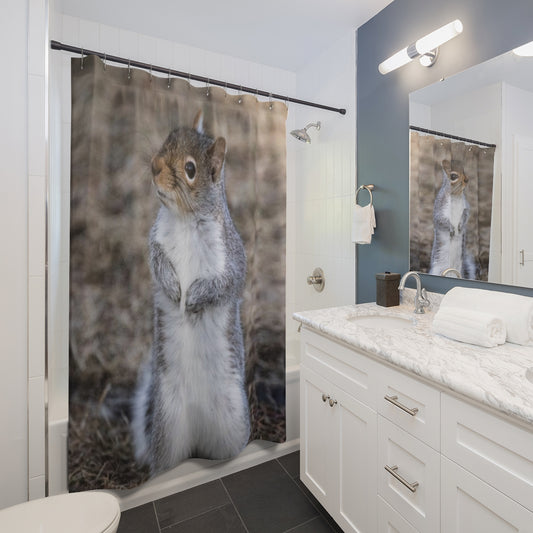 Squirrel Shower Curtain