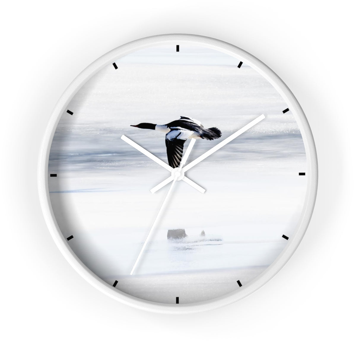 Merganser on Ice Wall clock